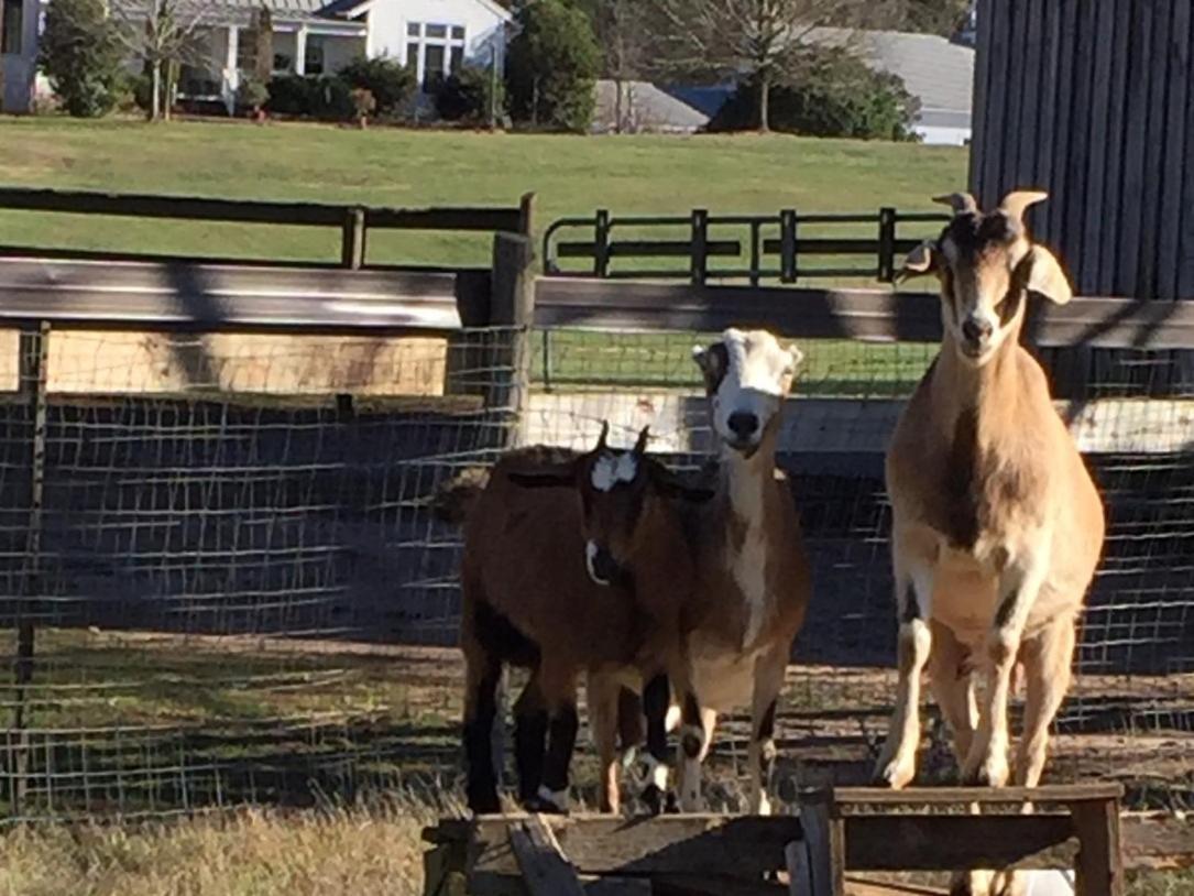 The Farmhouse Inn Buckhead Εξωτερικό φωτογραφία